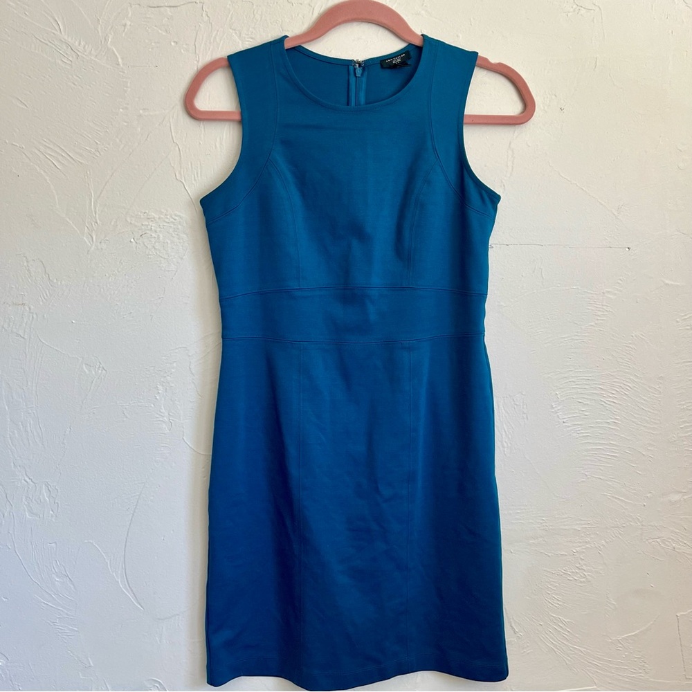 Ann Taylor Petite Sheath Dress